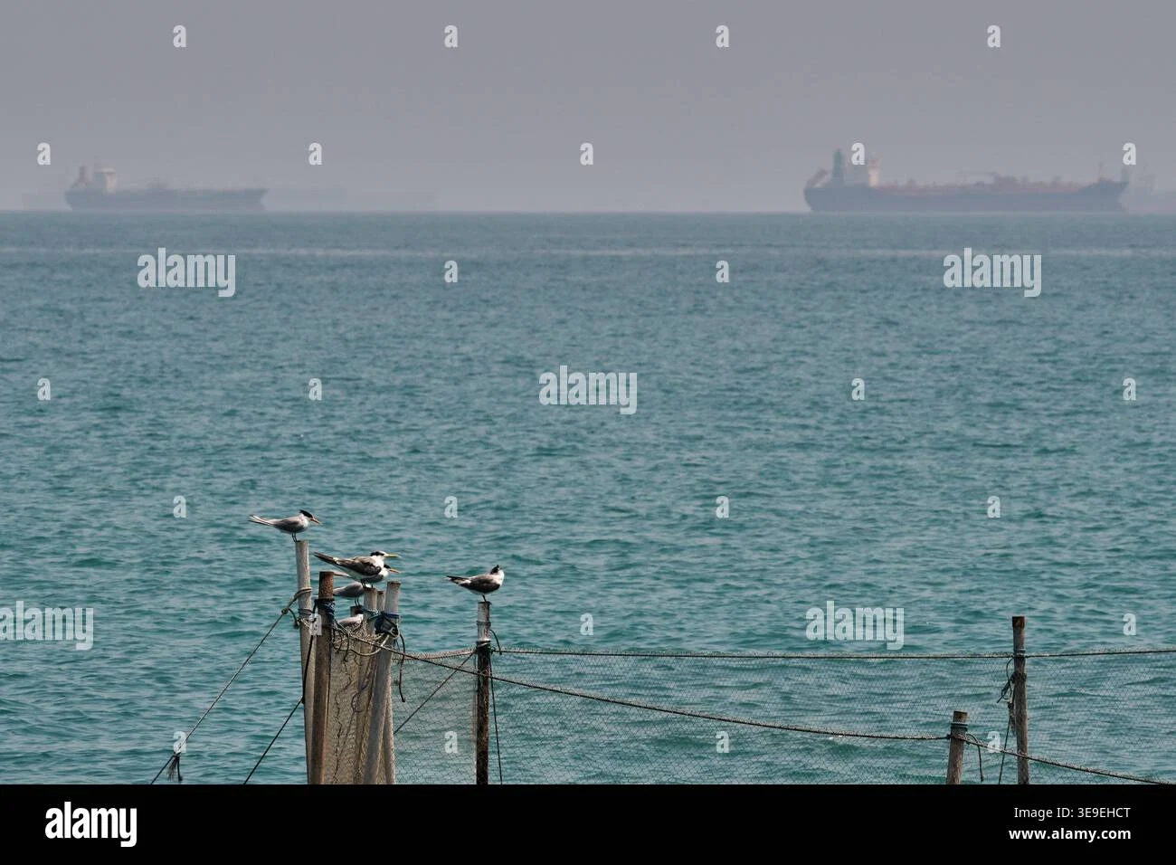 Iranian Commercial Ship Struck Near Strait of Hormuz, One Crew Member Killed